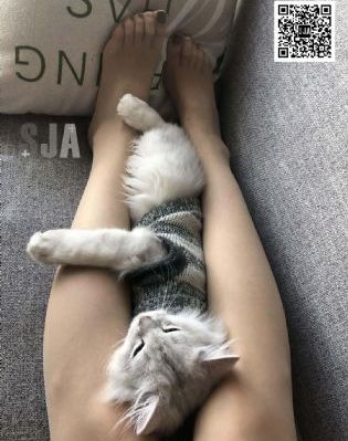 欧美精品xxxx在线_蓝光HD在线观看