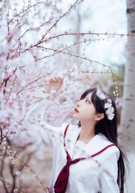 成年无码av动漫全部免费_BD韩语高清迅雷在线观看